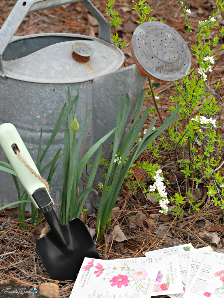 Scene in garden including vintage watering can, trowel, bridal wreath spirea and seed packets. @FanningSparks