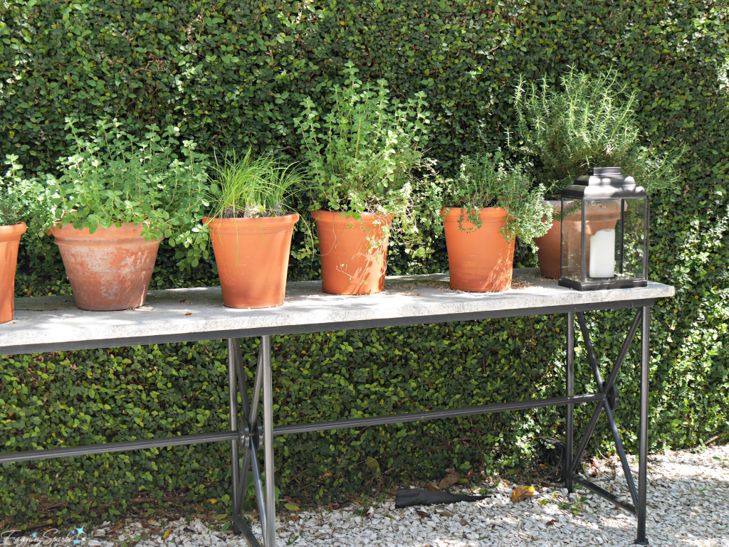 Terra cotta pots planted with herbs @FanningSparks