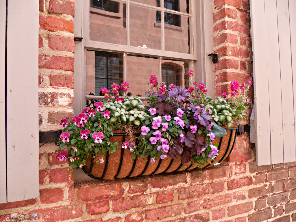 Charleston’s Glorious Window Boxes FanningSparks