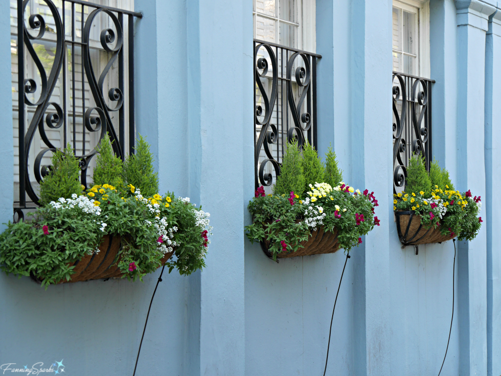 Charleston S Glorious Window Boxes Fanningsparks