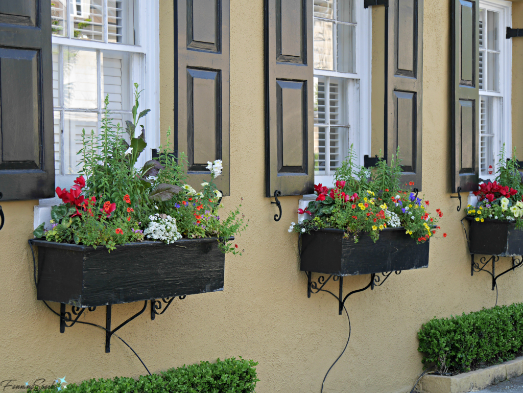 Row of 3 colorful window boxes @FanningSparks