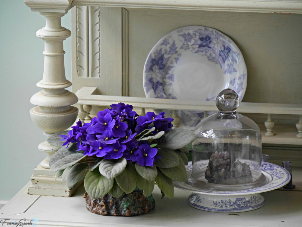 Purple tones of the African violet emphasize the blue and white dishes. @FanningSparks