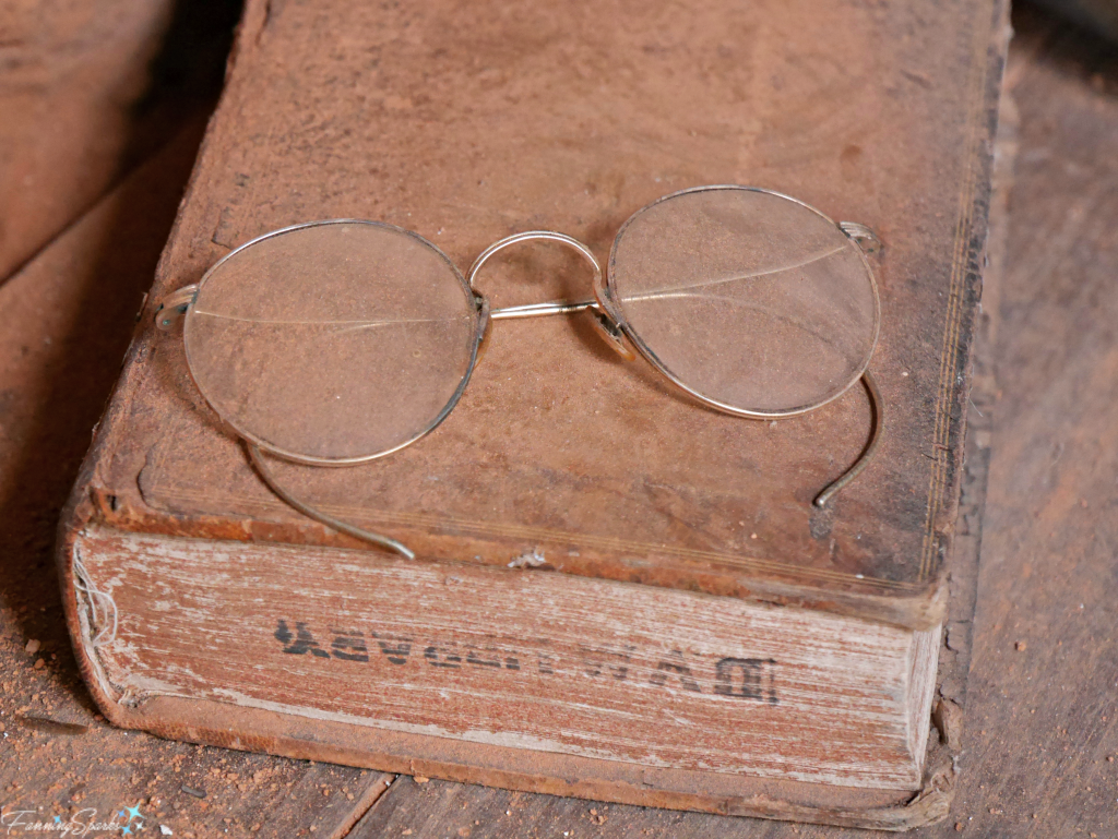 Vintage eyeglasses casually placed on an old DVM Library book. @FanningSparks