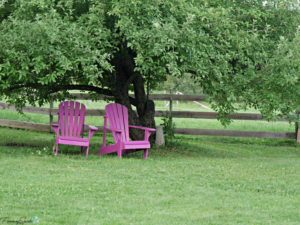 Purple Lawn Chairs Invite Reading at Mable Murple's in River John Nova Scotia. @FanningSparks