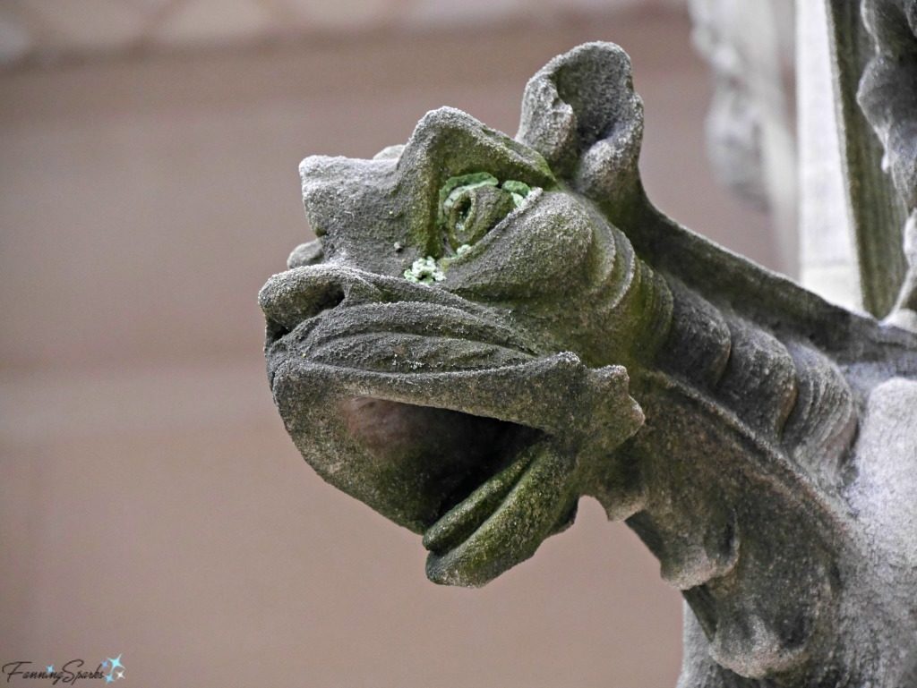 Biltmore House Stone Carved Gargoyle. @FanningSparks