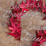 Season's Greetings 2018 from FanningSparks fea