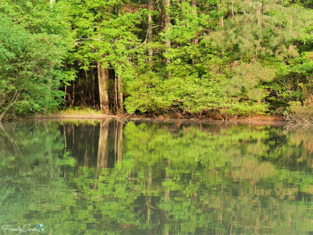 Beautiful Lake Scene Shows a Variety of Textures.   @FanningSparks 