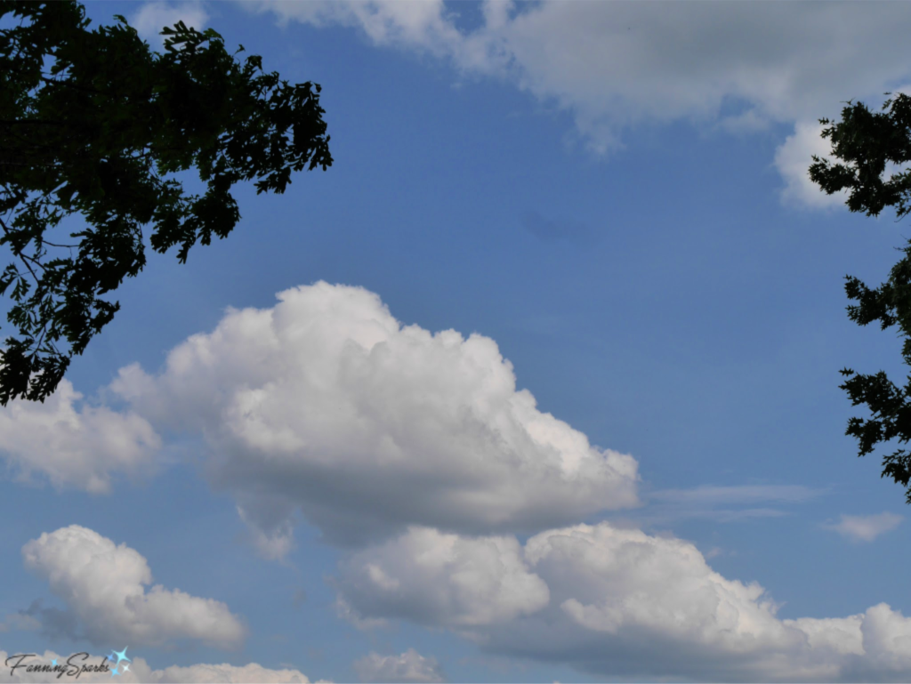 Cloud Gazing at a Backyard Picnic.   @FanningSparks
