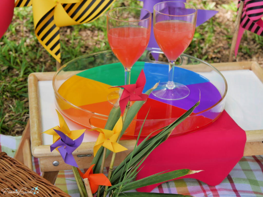 Color Wheel Tray with Drinks at Backyard Picnic.   @FanningSparks
