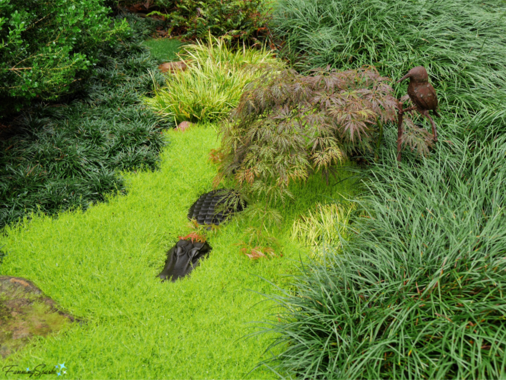 Johnstone Garden - Alligator Stones in Grass Painting.   @FanningSparks