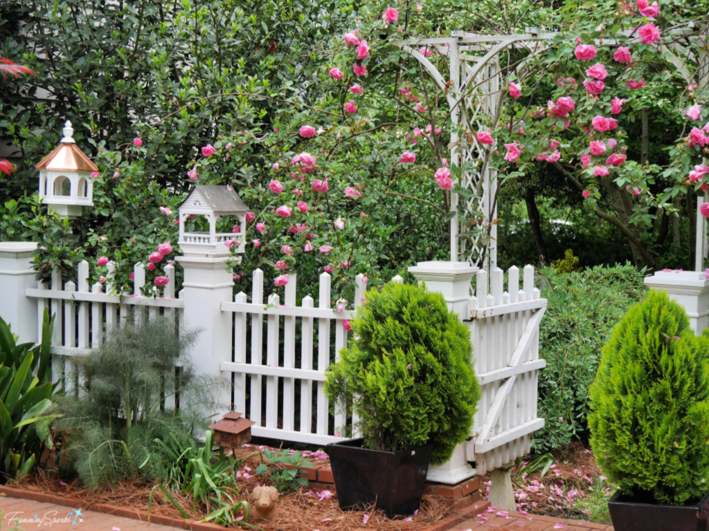 Middendorf Garden - Enclosed Rose Garden.   @FanningSparks