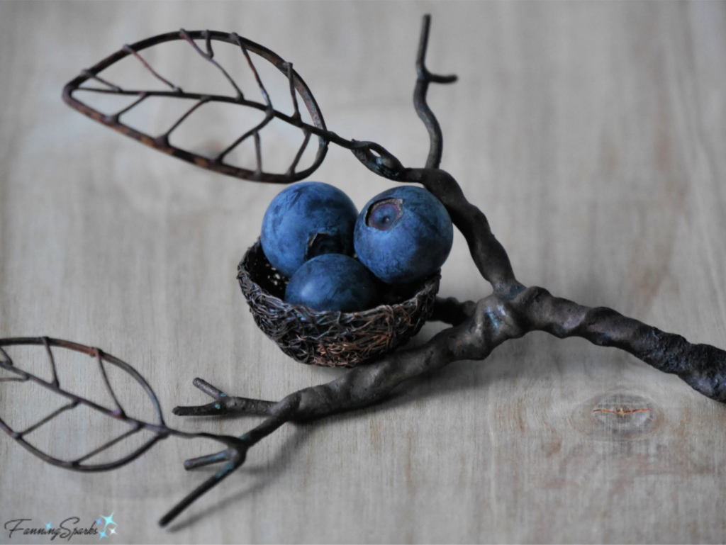 Blueberries in a Bird's Nest... this is zany!   @FanningSparks