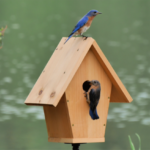 Bluebird-Approved Birdhouse DIY Tutorial by FanningSparks. @FanningSparks