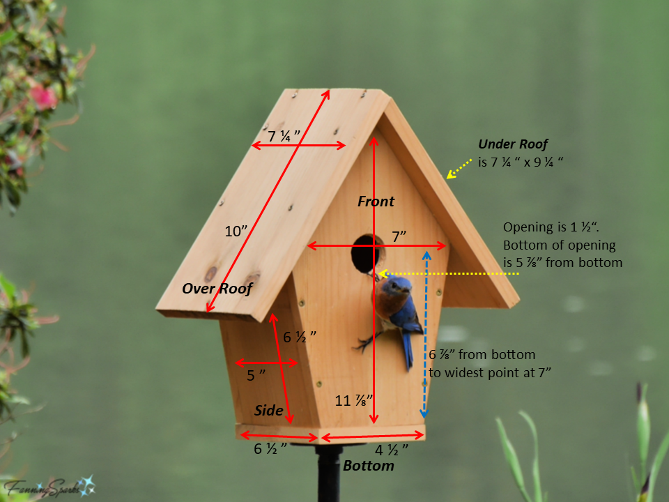 Bird House Dimensions Chart