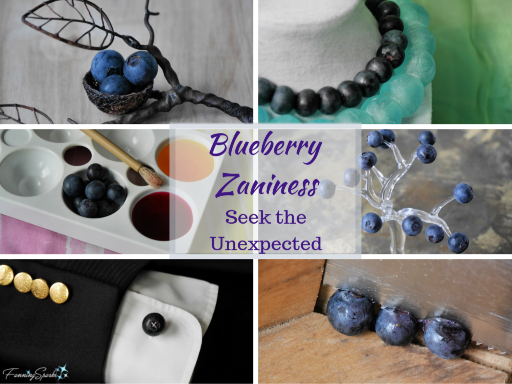 Blueberry Zaniness - Seek the Unexpected - Photo Challenge.   @FanningSparks