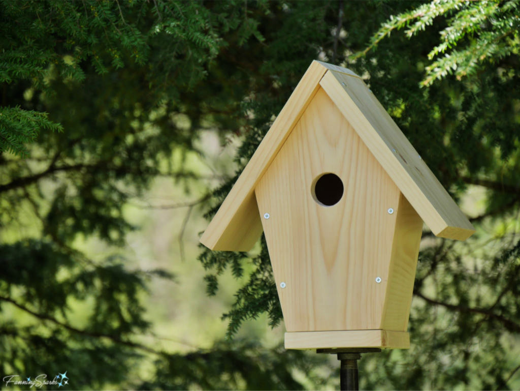 Roof Construction on DIY Bluebird-Approved Birdhouse.  Tutorial at FanningSparks.   @FanningSparks