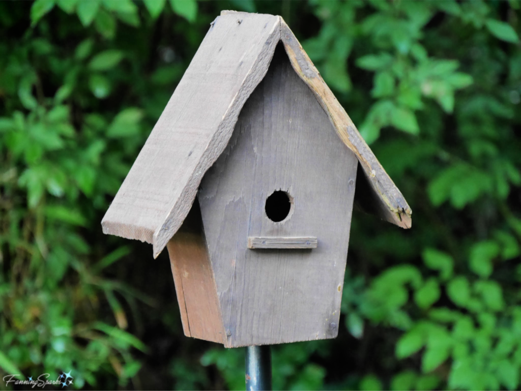 Original Birdhouse Used as Model by FanningSparks.   @FanningSparks