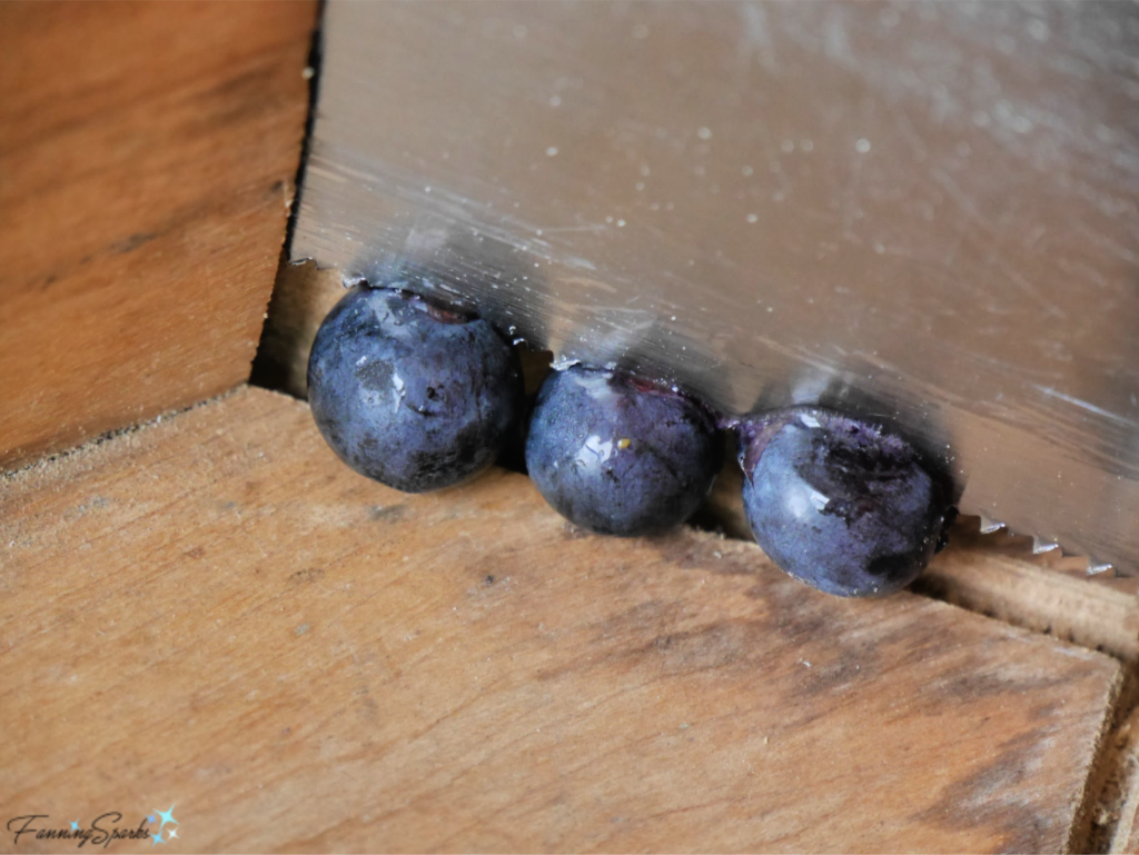 Sawing Blueberries... that's zany!   @FanningSparks