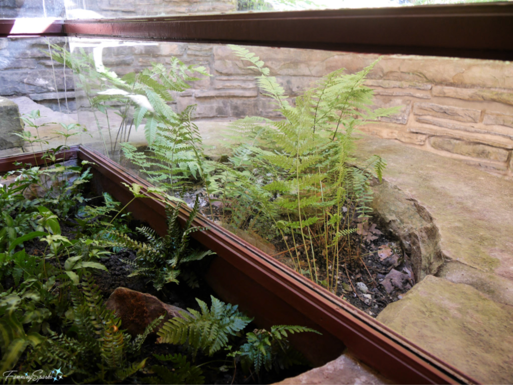 Indoor/Outdoor Flower Bed at FallingWater.   @FanningSparks