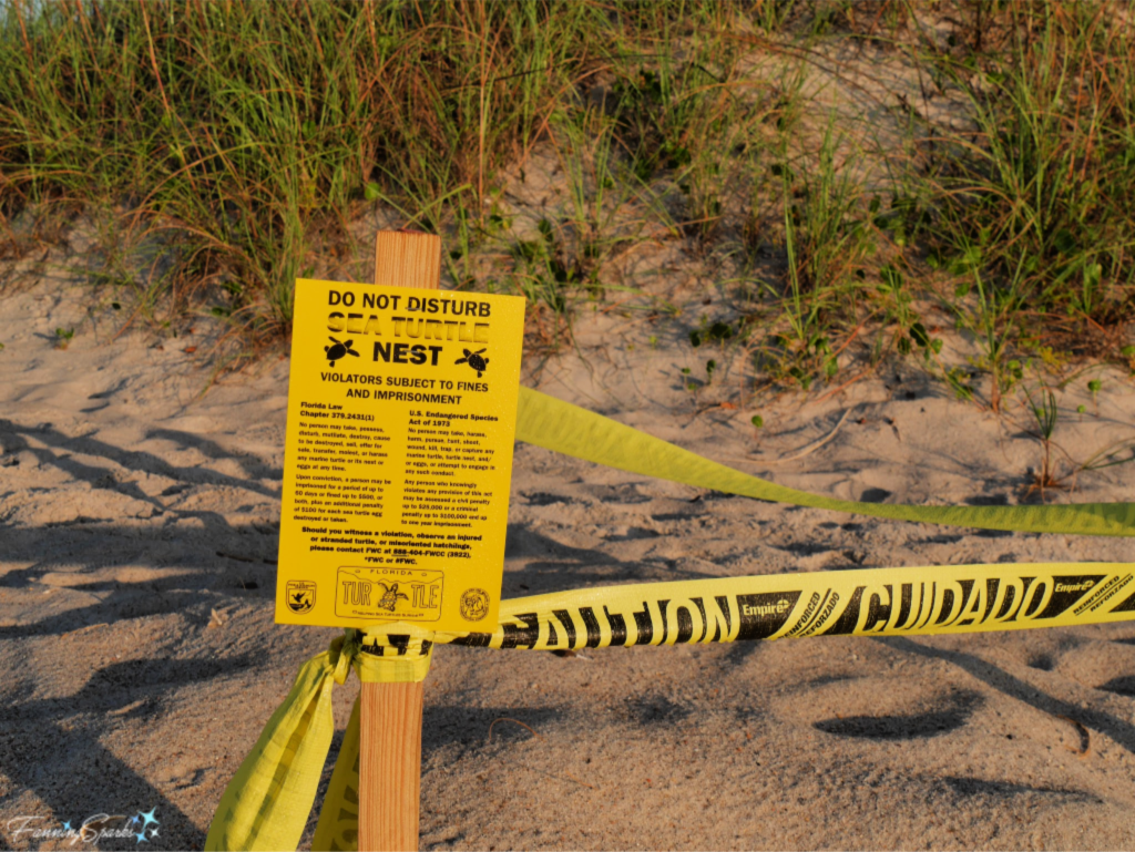 Do Not Disturb Sea Turtle Nest Sign.   @FanningSparks