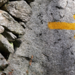 Yellow Arrows Direct Pilgrims on the Camino. @FanningSparks