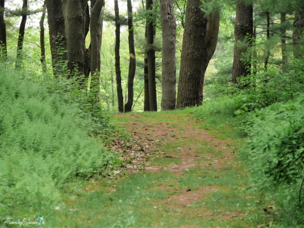 Inviting Forest Path in Innisfree Gardens in New York State.   @FanningSparks