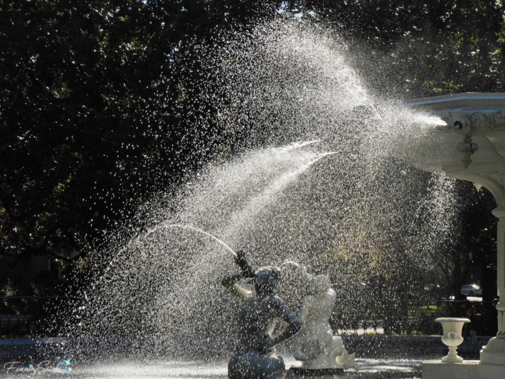 Fountain Caught in the Early Morning Sunshine in Forsyth Park in Savannah Georgia. @FanningSparks