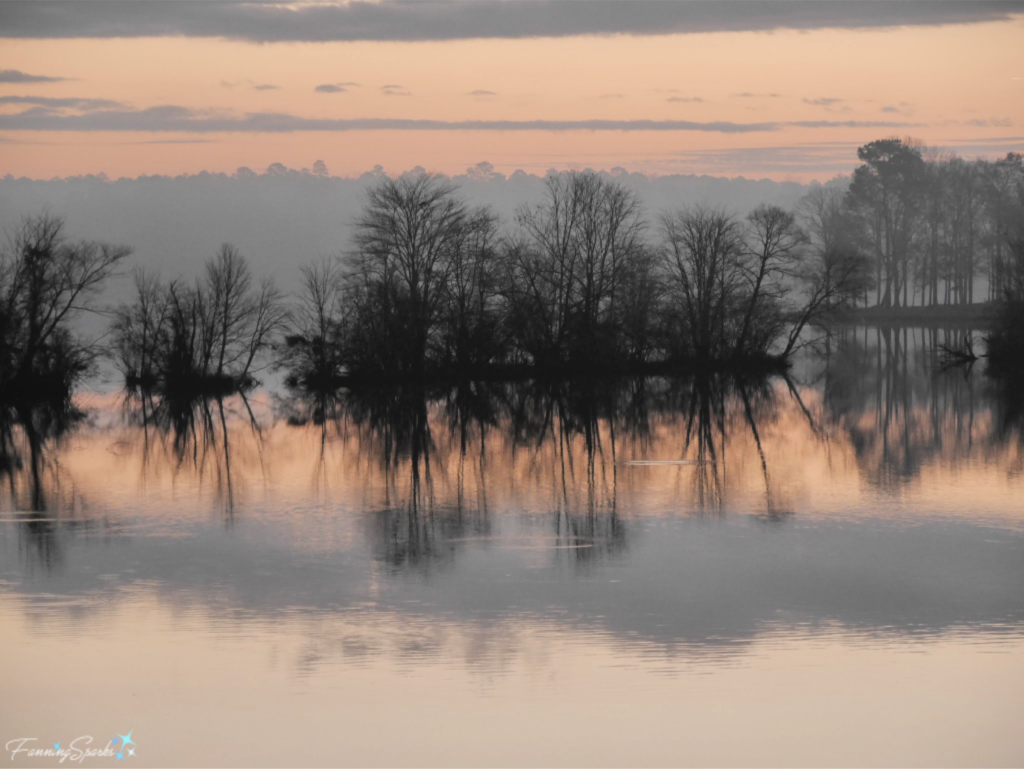 Misty Morning Sunrise Over Lake Oconee Georgia.   @FanningSparks