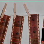 Top 19 Photos from 2019 by FanningSparks