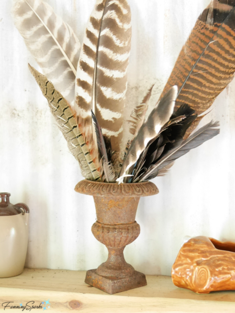 Collection of Feathers @FanningSparks