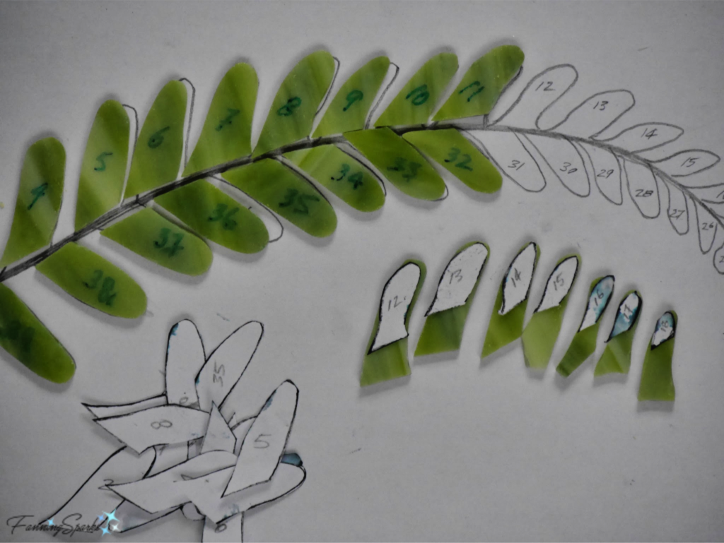 Cut Pieces of Stained Glass for Fern Frond.  @FanningSparks
