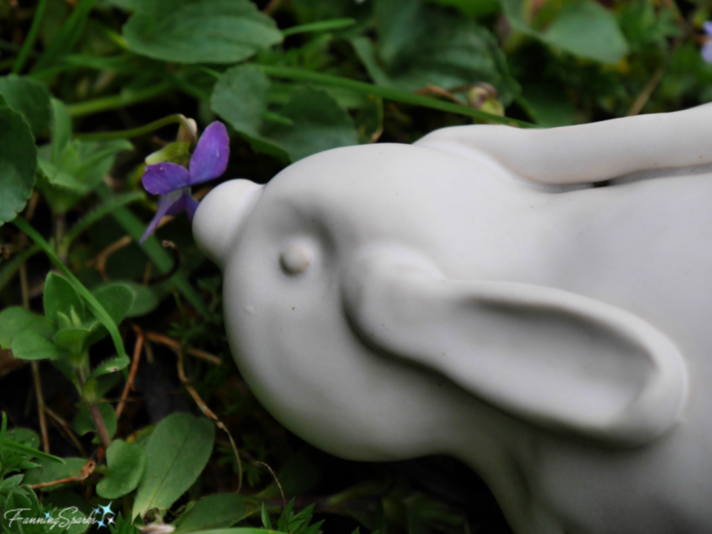 Pinch Pot Bunny Sniffing a Wild Violet   @FanningSparks