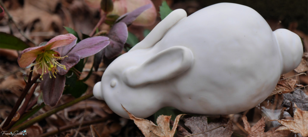 Pinch Pot Bunny in Garden Under Hellebores @FanningSparks