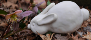 Pinch Pot Bunny – FanningSparks