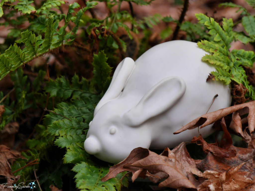 Pinch Pot Bunny Under Tassel Fern   @FanningSparks