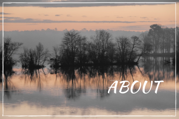 ABOUT Category Cover Photo with Misty Sunrise Lake Scene @FanningSparks