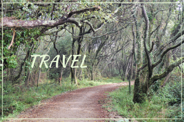 TRAVEL Category Cover Photo with Wooded Path