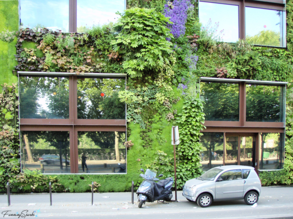 Green Wall by Patrick Blanc in Paris France   @FanningSparks