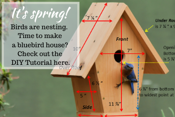 Birds are nesting. Time to make a bluebird house. Tutorial @FanningSparks