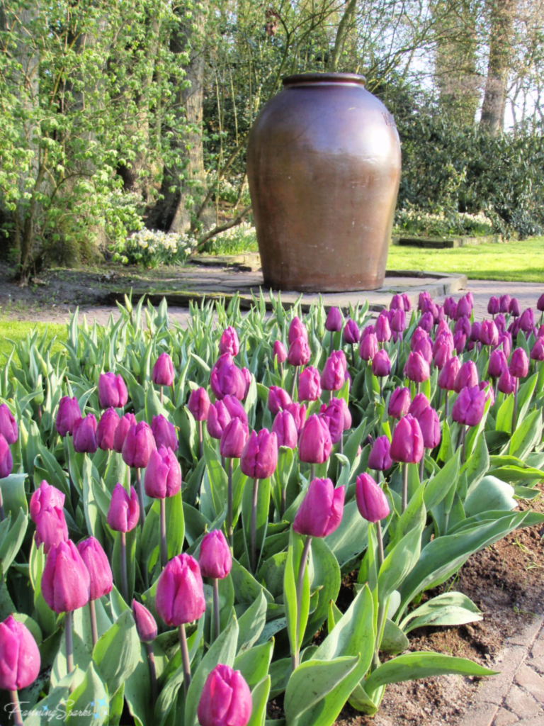 Purple Tulips with Giant Jug at Keukenhof in Lisse Netherlands   @FanningSparks