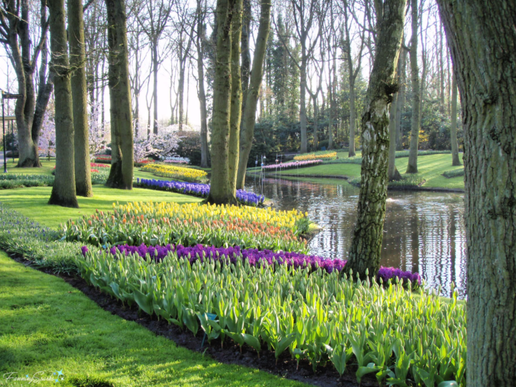 Trees and Flowers Along Stream at Keukenhof in Lisse Netherlands   @FanningSparks