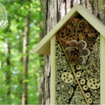 AirBee-n-Bee House DIY Tutorial @FanningSparks