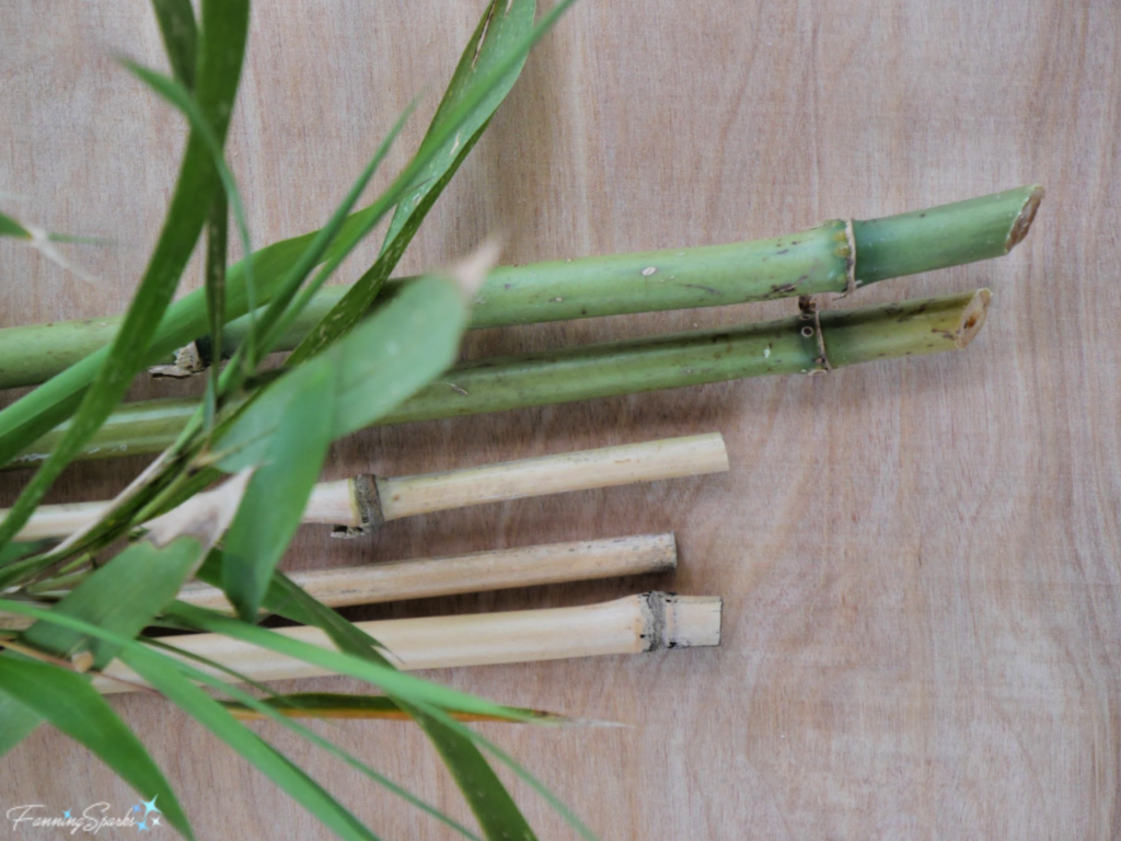 Bamboo Stems for AirBee-n-Bee House @FanningSparks