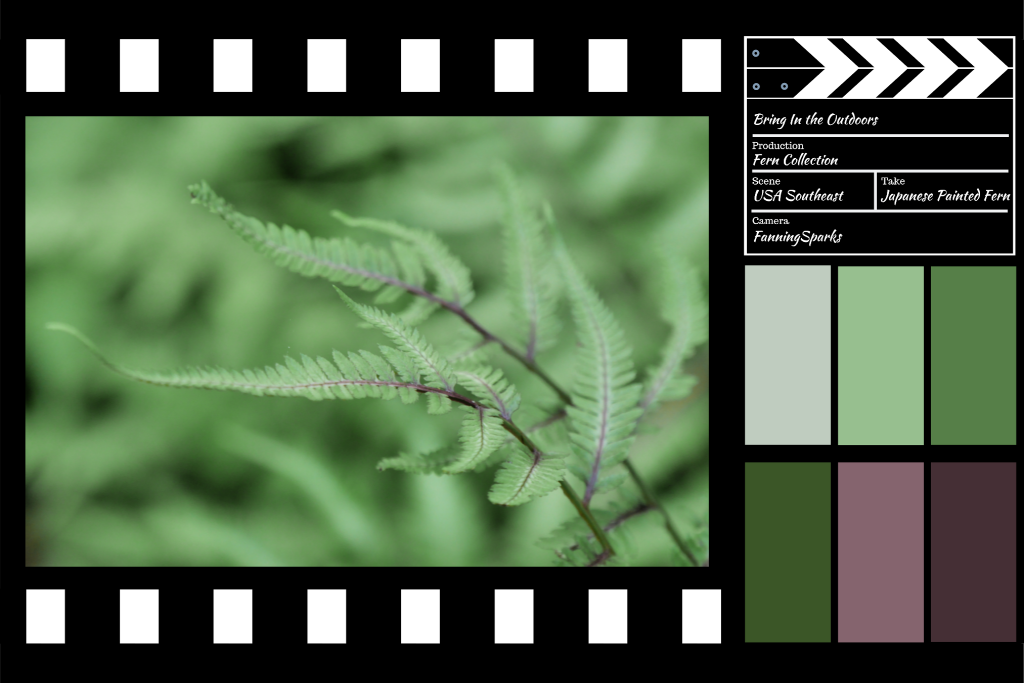 Bring In the Outdoors - Japanese Painted Fern Design    @FanningSparks