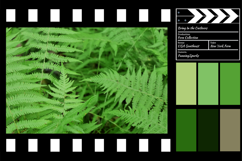 Bring In the Outdoors – New York Fern Design    @FanningSparks