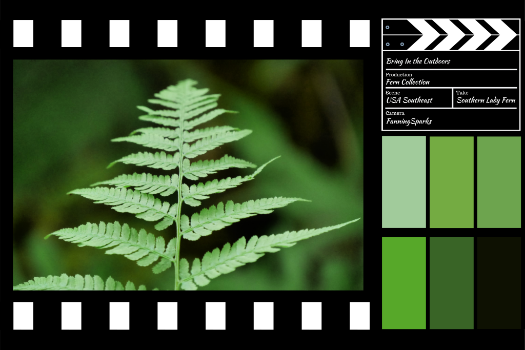 Bring In the Outdoors - Southern Lady Fern Design    @FanningSparks