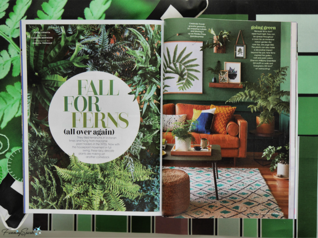 Fall for Ferns Better Homes & Gardens Magazine Article    @FanningSparks