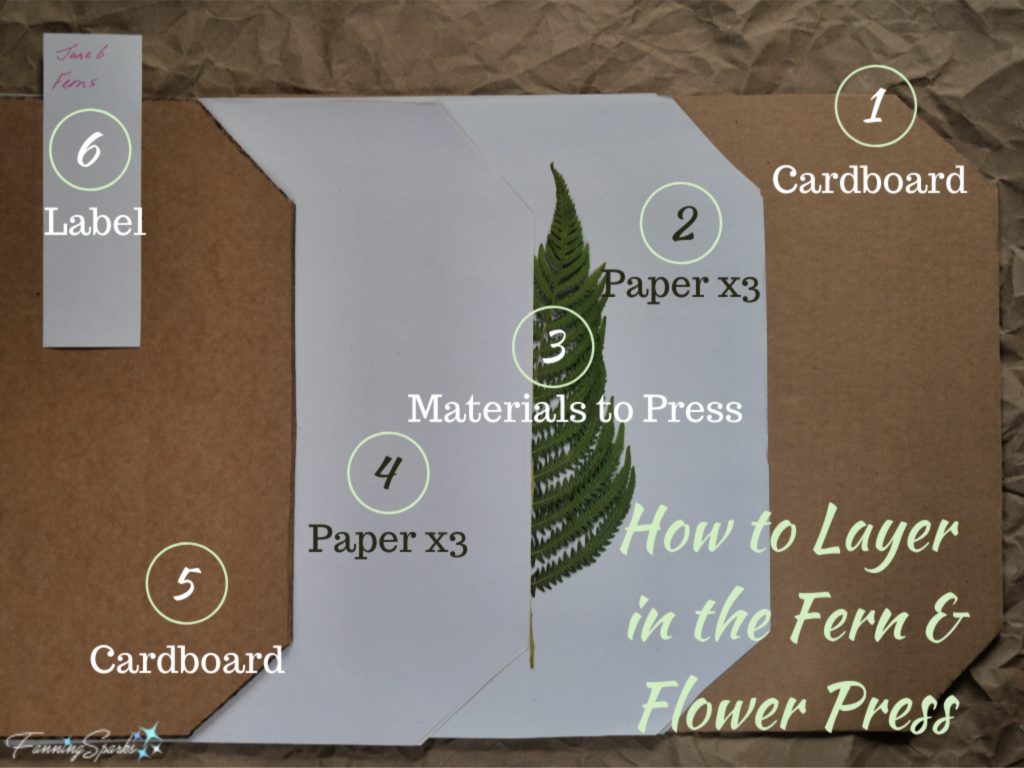 Fern & Flower Press – Layering for Pressing   @FanningSparks