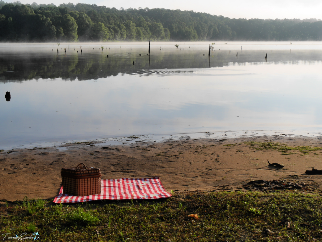 Picnic Blanket and Hamper on Misty Shore of Lake Oconee   @FanningSparks  