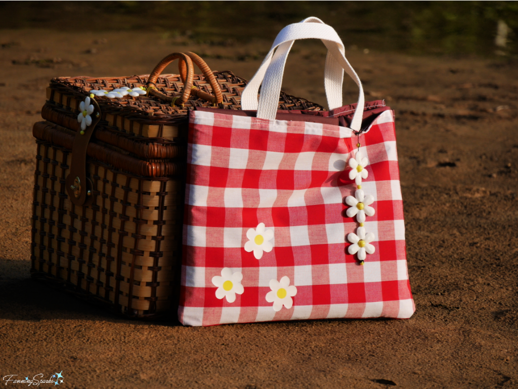 Ultimate Picnic Blanket in Pocket in Sunlight   @FanningSparks